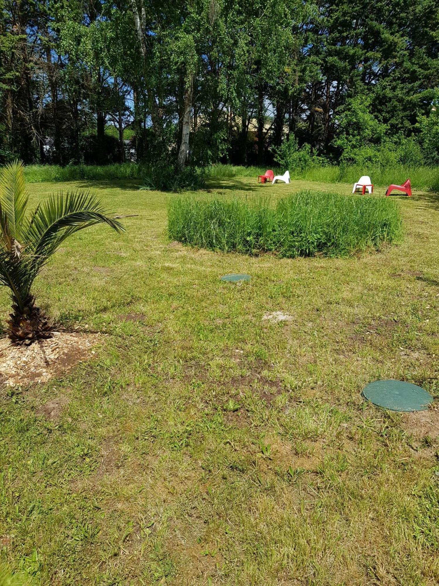 Appartement 11 - Très joli 2 pièces neuf avec vue sur jardin et parking privatif gratuit à Razac-sur-lʼIsle Extérieur photo